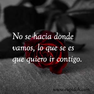 Frases de amor bonitas para dedicar 16 Mensajes de amor Rosa 17