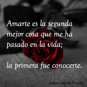 Frases de amor bonitas para dedicar 17 Mensajes de amor Rosa 19