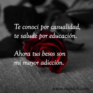 Frases de amor bonitas para dedicar 18 Mensajes de amor Rosa 20
