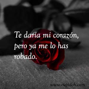 Frases de amor bonitas para dedicar 19 Mensajes de amor Rosa 21