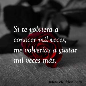 Frases de amor bonitas para dedicar 22 Mensajes de amor Rosa 23