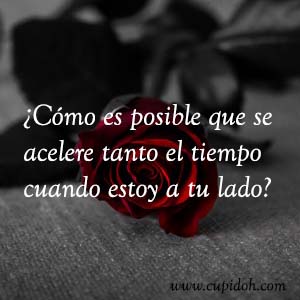 Frases de amor bonitas para dedicar 23 Mensajes de amor Rosa 25