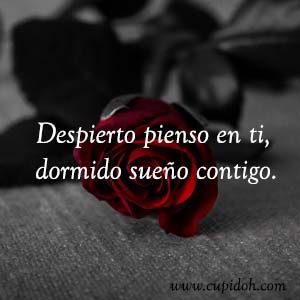 Frases de amor bonitas para dedicar 24 Mensajes de amor Rosa 26