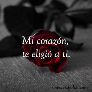 Mensajes de amor Rosa 27