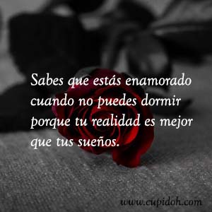 Frases de amor bonitas para dedicar 27 Mensajes de amor Rosa 29