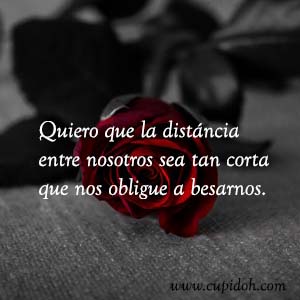 Frases de amor bonitas para dedicar 29 Mensajes de amor Rosa 31