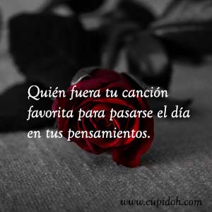 Frases de amor bonitas para dedicar 30 Mensajes de amor Rosa 32