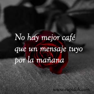 Frases de amor bonitas para dedicar 32 Mensajes de amor Rosa 34