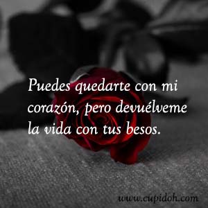 Frases de amor bonitas para dedicar 37 Mensajes de amor Rosa 39