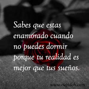 Frases de amor bonitas para dedicar 3 Mensajes de amor Rosa 4