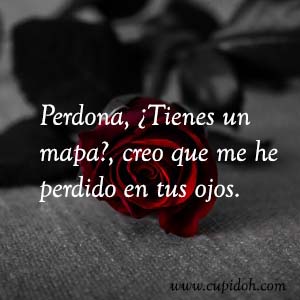 Frases de amor bonitas para dedicar 41 Mensajes de amor Rosa 43