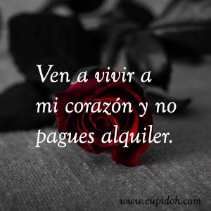 Frases de amor bonitas para dedicar 6 Mensajes de amor Rosa 6