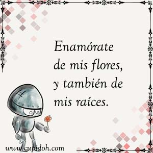 Frases de amor profundas para dedicar 11 mensajes de amor Robotto 11