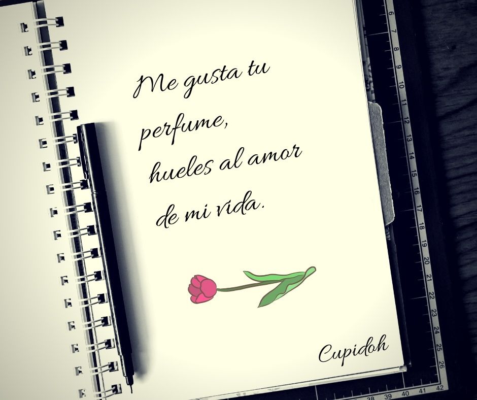 22 Imágenes con frases bonitas que le encantarán 10 Me gusta tu perfume