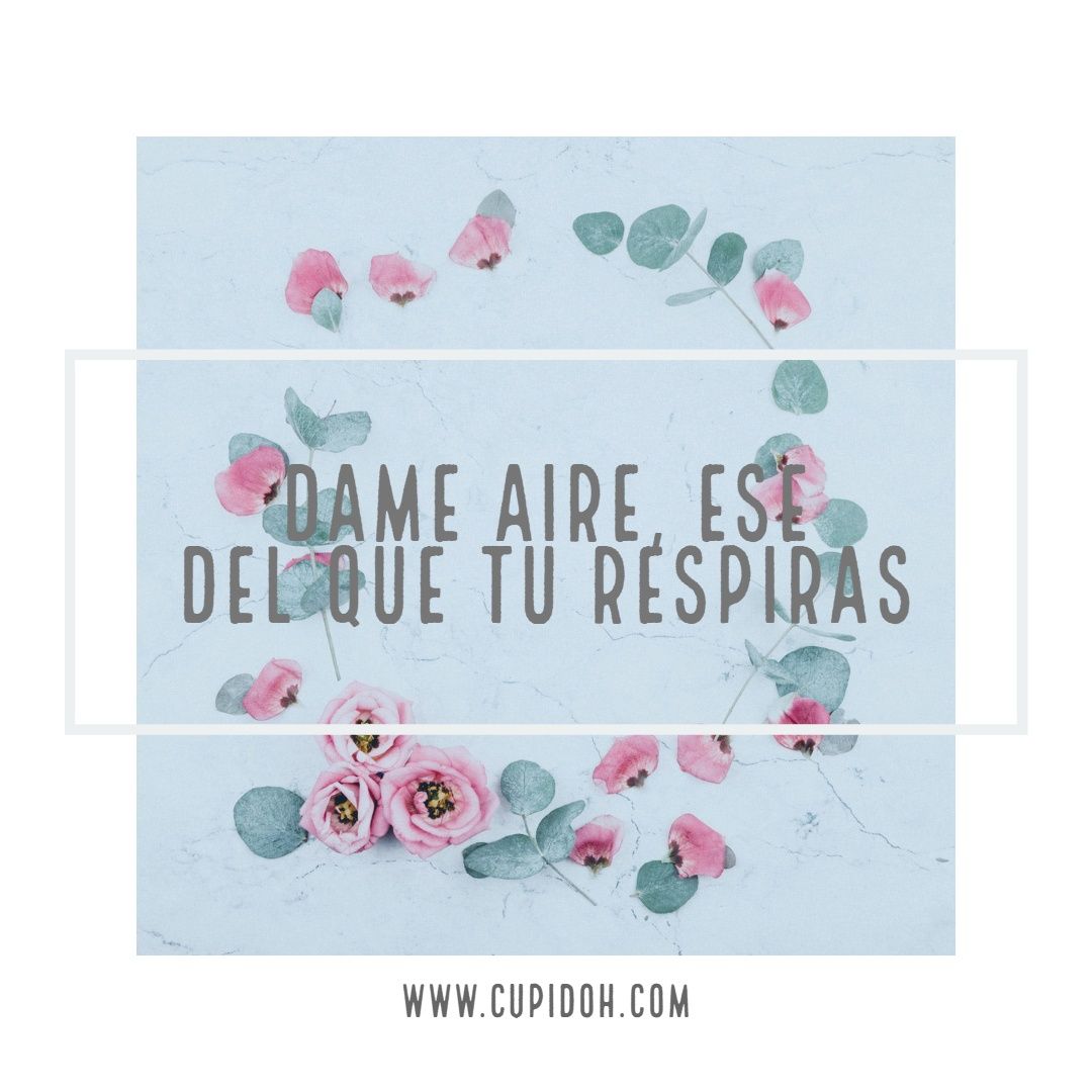 22 Imágenes con frases bonitas que le encantarán 5 dame aire
