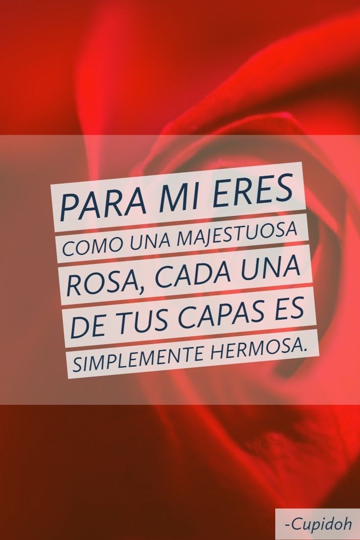 22 Imágenes con frases bonitas que le encantarán 6 eres como una rosa