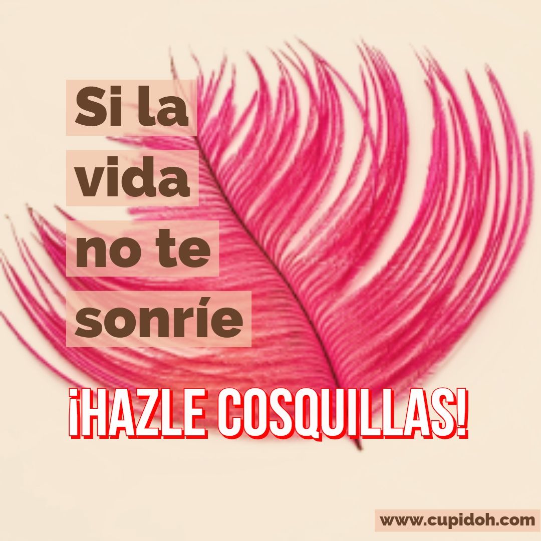 22 Imágenes con frases bonitas que le encantarán 17 si la vida no te sonrie