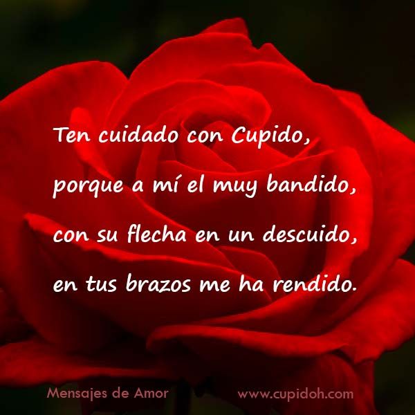12 Mensajes de Amor para Enamorar 1 mensajes de amor para enamorar