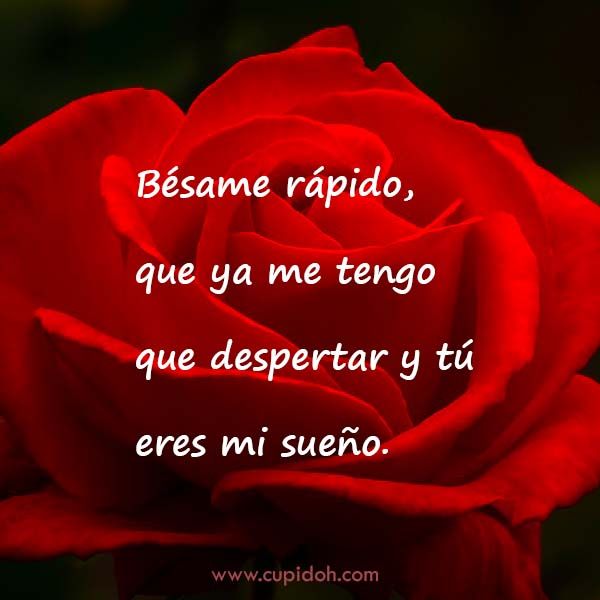 12 Mensajes de Amor para Enamorar 10 mensajes de amor para enamorar