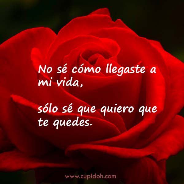 12 Mensajes de Amor para Enamorar 11 mensajes de amor para enamorar