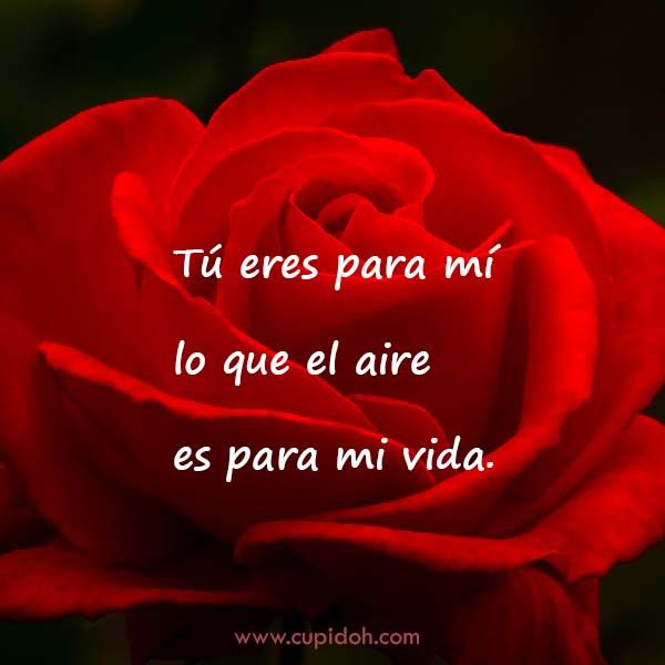 12 Mensajes de Amor para Enamorar 12 mensajes de amor para enamorar