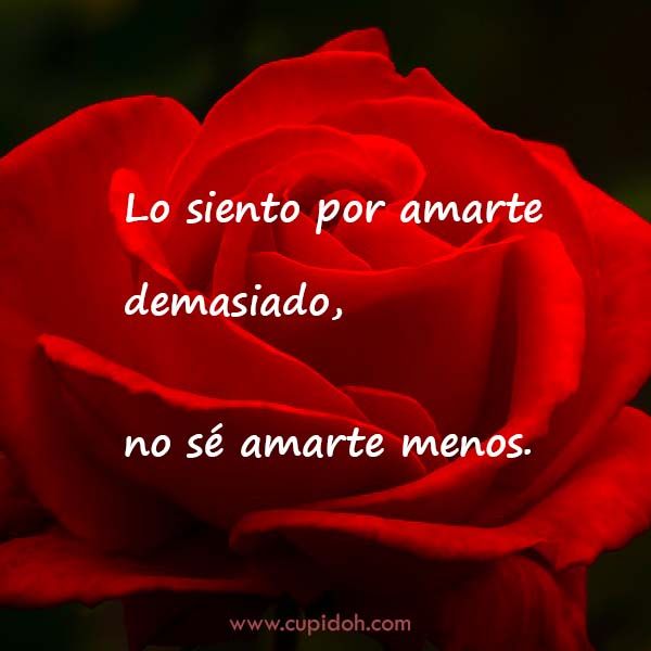 12 Mensajes de Amor para Enamorar 2 mensajes de amor para enamorar