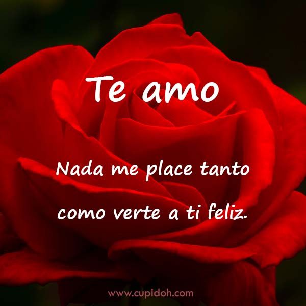 12 Mensajes de Amor para Enamorar 3 mensajes de amor para enamorar
