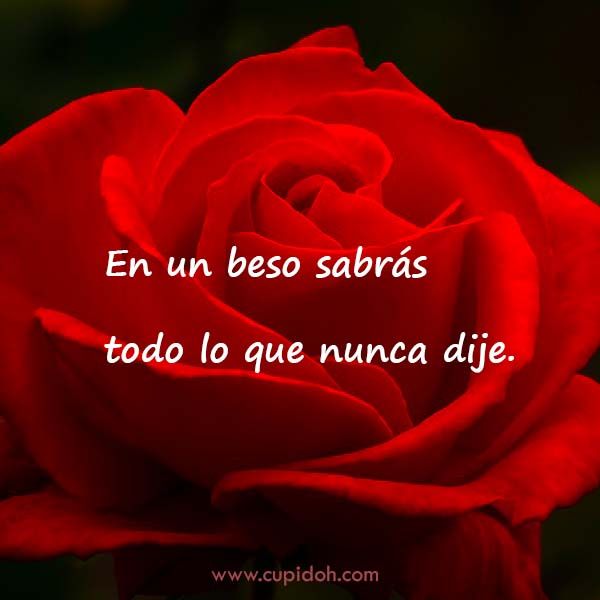 12 Mensajes de Amor para Enamorar 4 mensajes de amor para enamorar