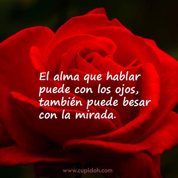 12 Mensajes de Amor para Enamorar 6 mensajes de amor para enamorar