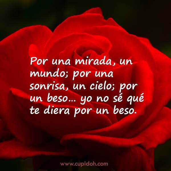12 Mensajes de Amor para Enamorar 7 mensajes de amor para enamorar