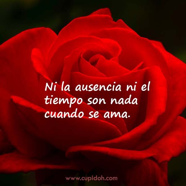 12 Mensajes de Amor para Enamorar 8 mensajes de amor para enamorar