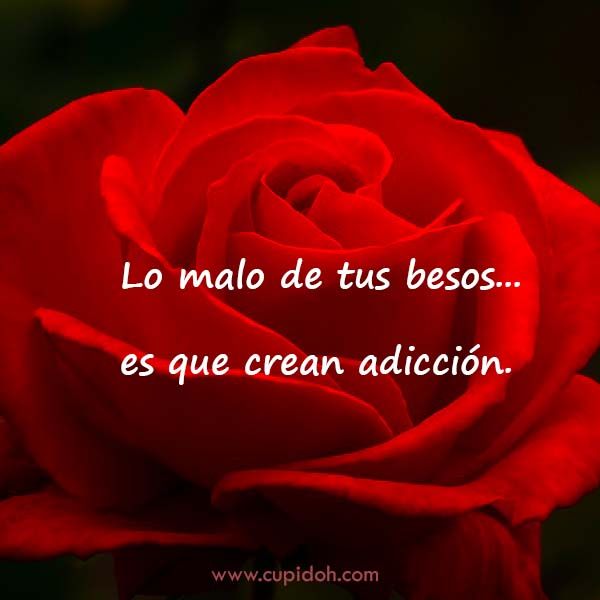 12 Mensajes de Amor para Enamorar 9 mensajes de amor para enamorar