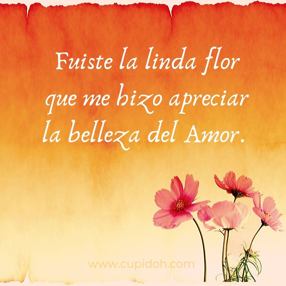 mensajes para dedicar