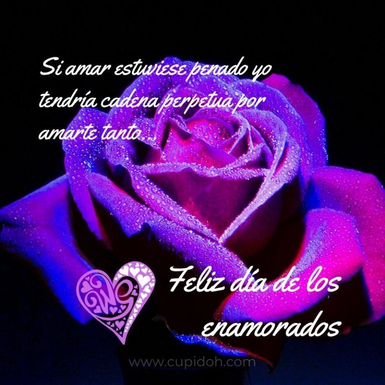 feliz dia de San valentin