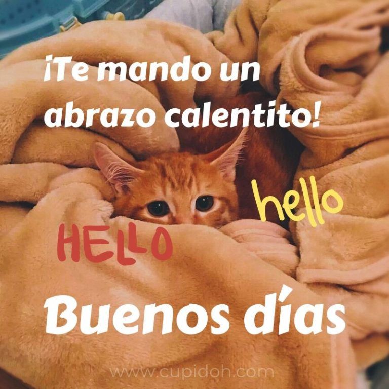 saludos