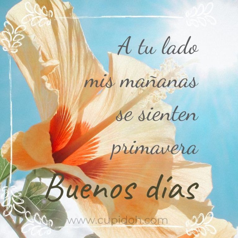 lindo día