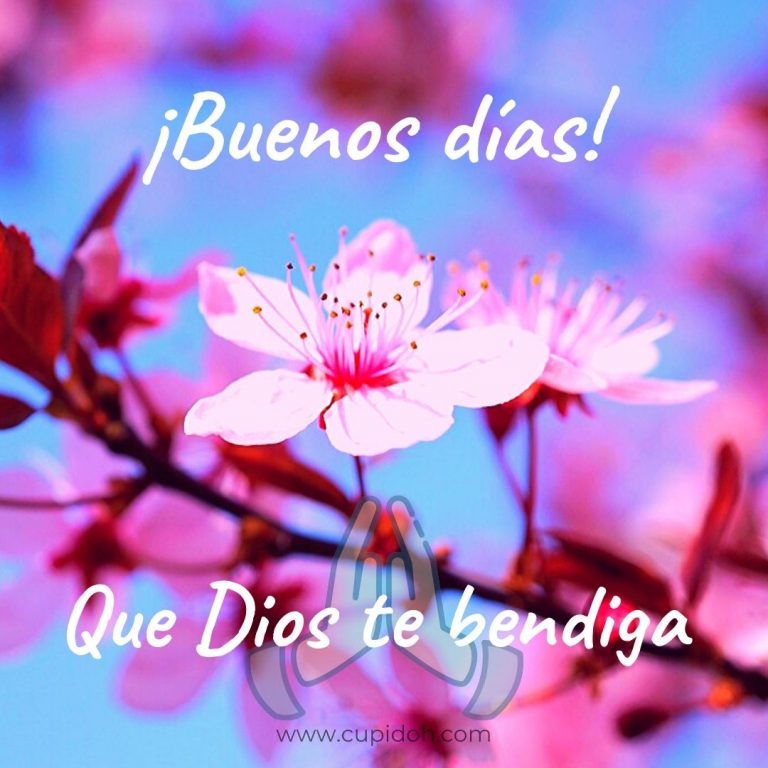 feliz día