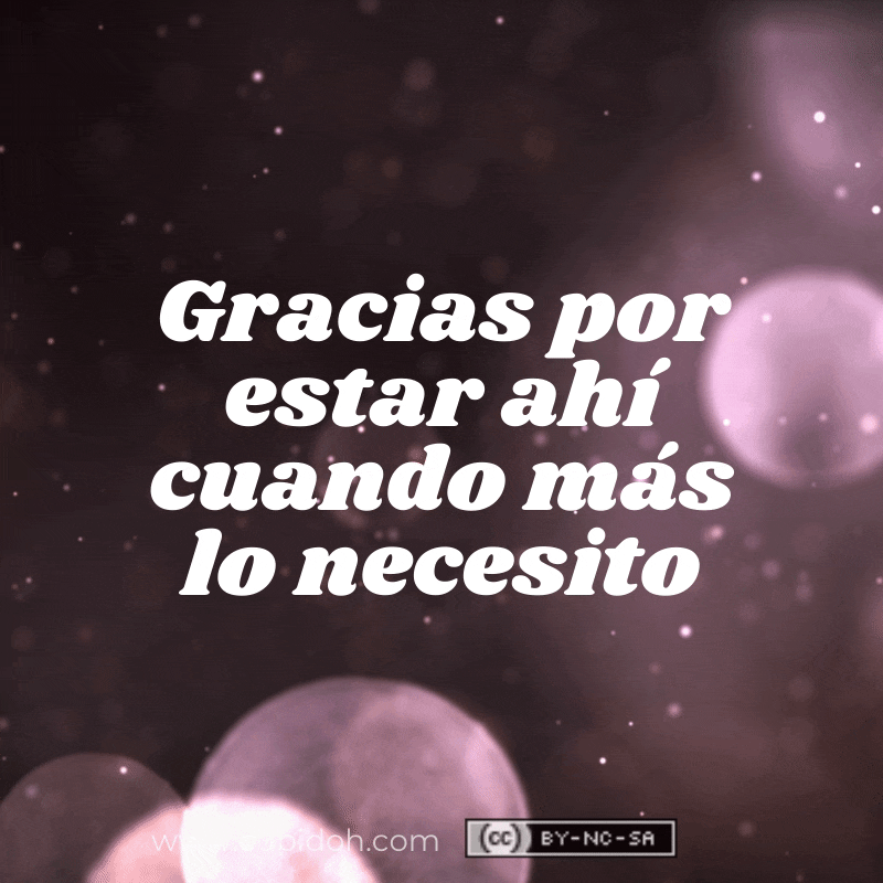 gracias por todo