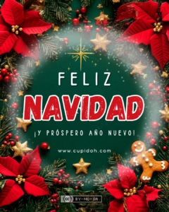 Felicitaciones de Navidad divertidas :) 24 felicitaciones graciosas para navidad